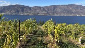 View of Okanagan Lake, Lake Country, British Columbia