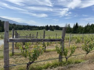Cowichan Valley, Vancouver Island, British Columbia